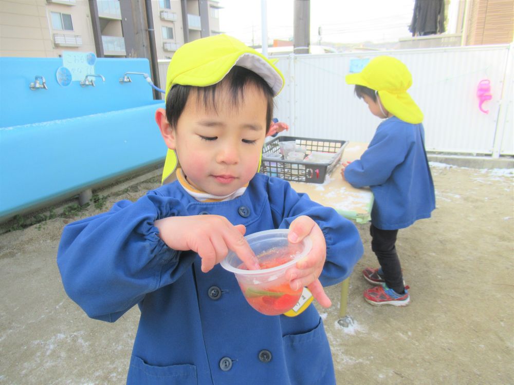 毎日氷ができているか観察しているEくん
「今日は絶対氷ができていると思ったんよ」　と満足そう