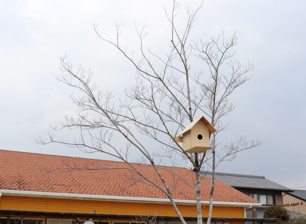 ゆめはうす認定こども園　第３園庭
シンボルツリーのむくの木にDIYした鳥小屋をつけてみました

みかんを置いておくと小鳥が集まってきてそれを見て
子ども達も大喜び♪

４歳児R君、喜びのあまり
「すごいね、発明家だね」
お家でお兄ちゃんと手紙を書いてくれました