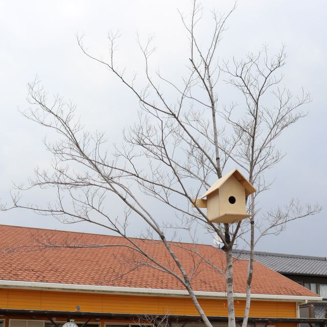 ＊　4歳児　鳥小屋　＊