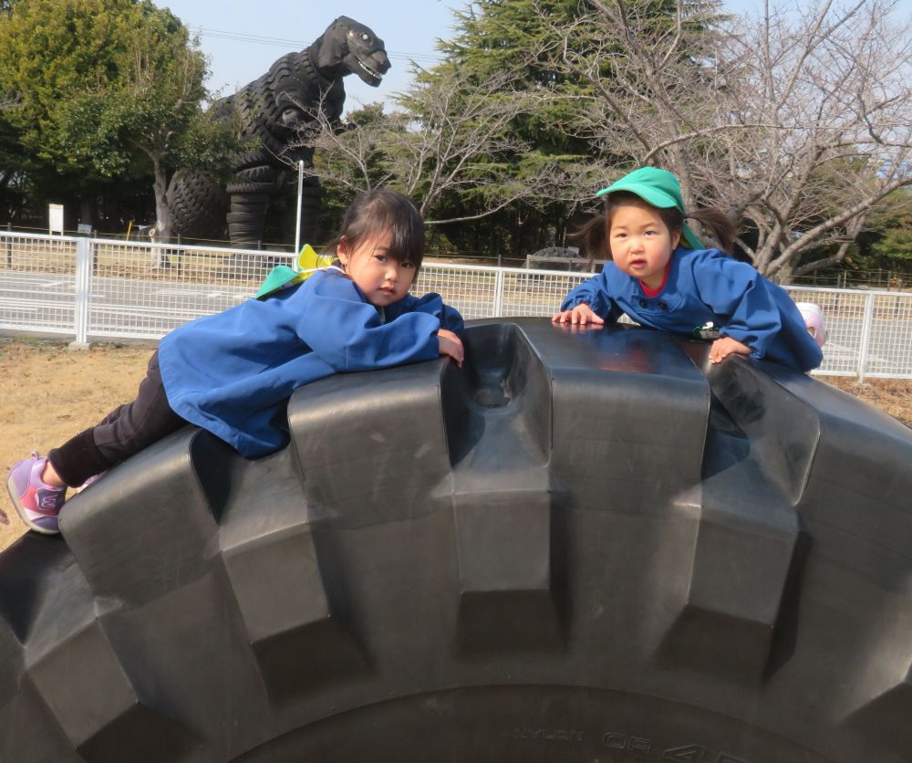 恐竜公園へ遊びに行きました🦖

ヒヨコ組さんも、大きいタイヤに登ります！
上まであがると
　降りるのこわ～い💦