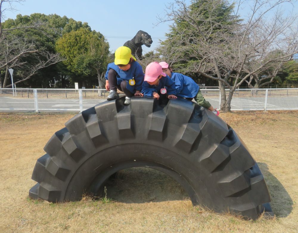 リス組さん、
ぼくも跳んでみようかな・・・

悩むこと３分。
ちょっと勇気が出なくて、足から降りる。
今、自分ができることを分かってる💛