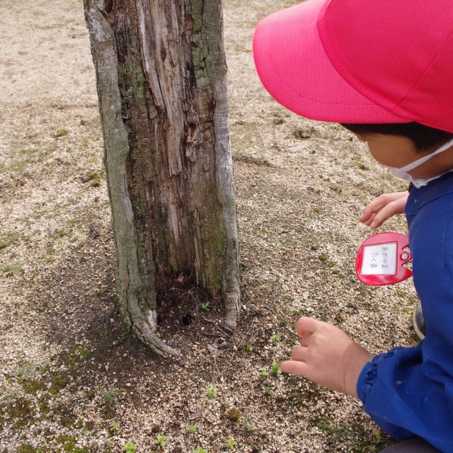 小さい春と一緒に②　＊4.5歳児＊