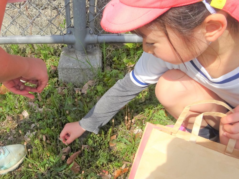 散歩で行った公園につくしがたくさん…
春の訪れを感じました


草の間を見て見ると…　つくしがいっぱい！
