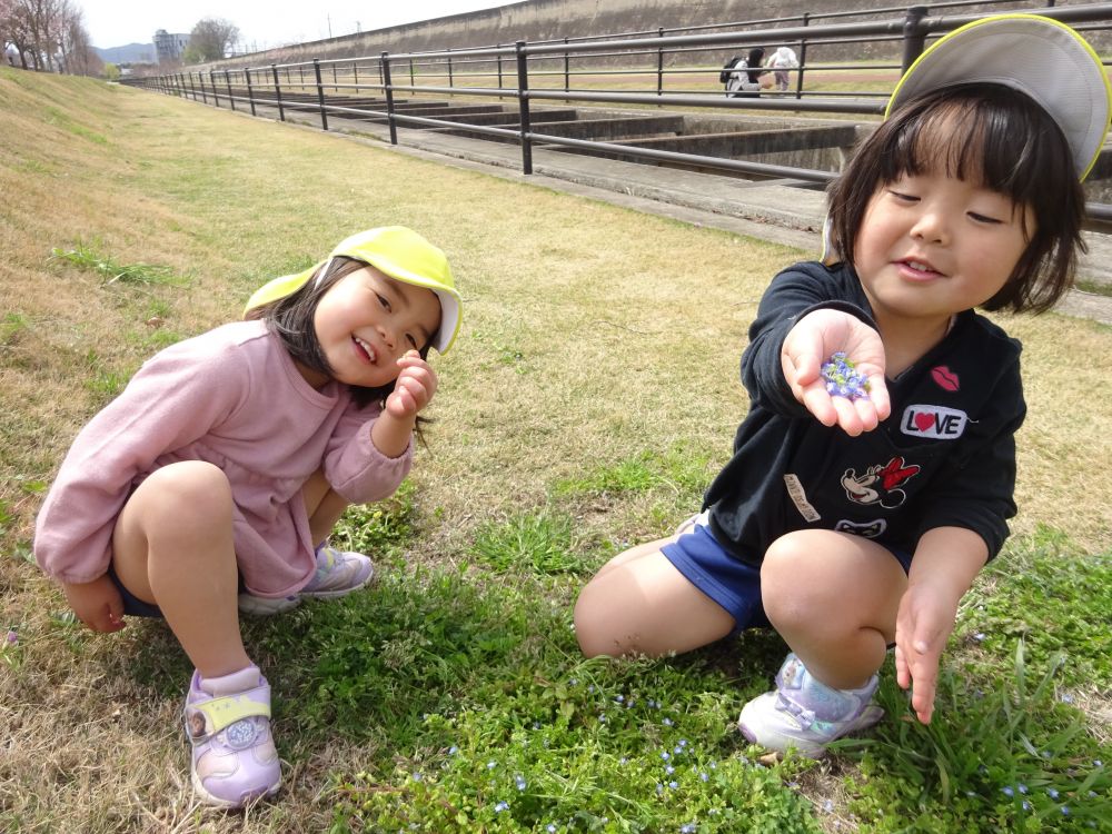 外も暖かくなってきてお散歩日和
みんなで仲良く手をつないで散歩に行ってきました！

「私はお花を集めてお母さんにあげるんだ」
「僕はこの坂をすべって遊ぶ！」
子どもたちから様々な楽しそうな声が聞こえてきました♪



友達と一緒にお花探し