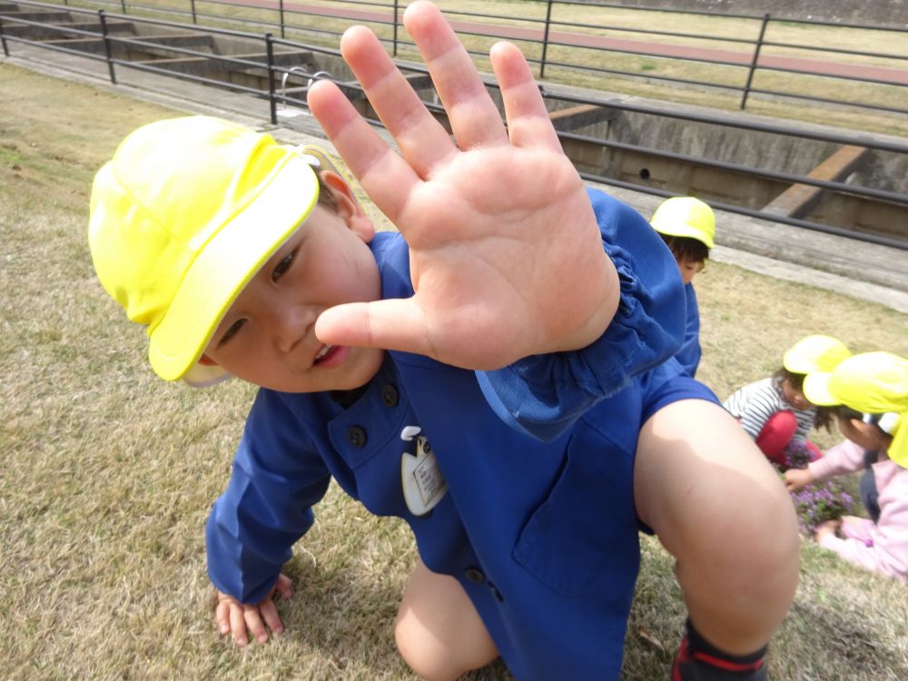 「見て！手にお花の色がついたよ」

花を探すだけでなく自然の不思議、面白さを自分で見つけて楽しんでいました♪