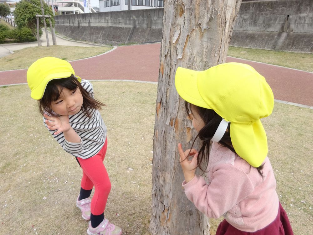 「こっちだよ、ばあっ！」

木の陰で自然のかくれんぼを楽しんでいる様子♡