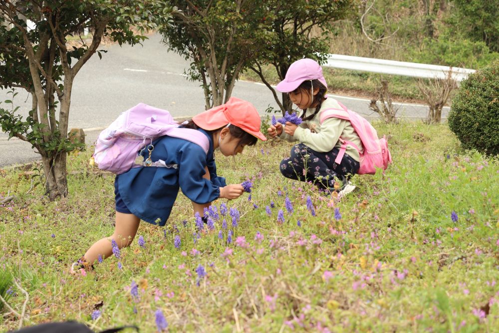 話しをしたあと・・　みんなで春探し☆

雑草が生えているだけの広場でも
楽しいことはたくさん
みんな夢中で探索をしています

この日常がどれだけ幸せで有り難いか・・