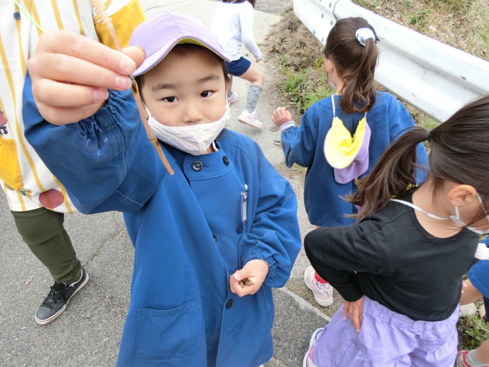 暖かい日が続くようになり、見かけることも増えたつくし☆

「つくしって食べられるんだよ～！！」

と、教えてくれたKちゃん。

みんなで春を味わってみようとつくし探しも盛り上がります。