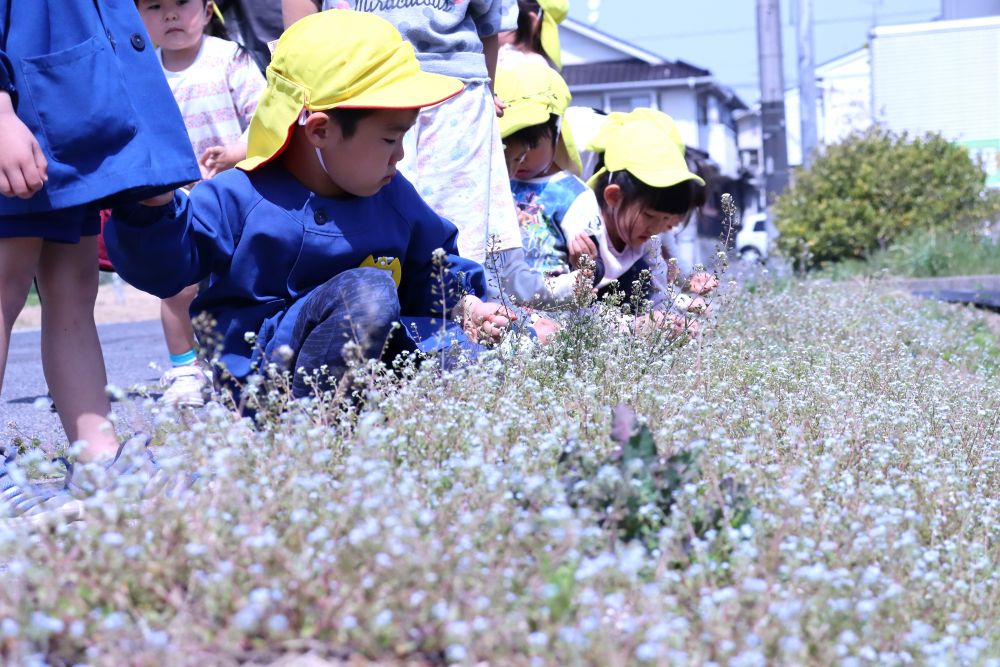 マラソンコースを　お散歩♡
花・・　チョウチョ・・　風・・　季節を感じながら

そして・・　このように過ごせる平和な日常に感謝しながら・・



「可愛いお花ーー♡」　摘むゾウ組さん