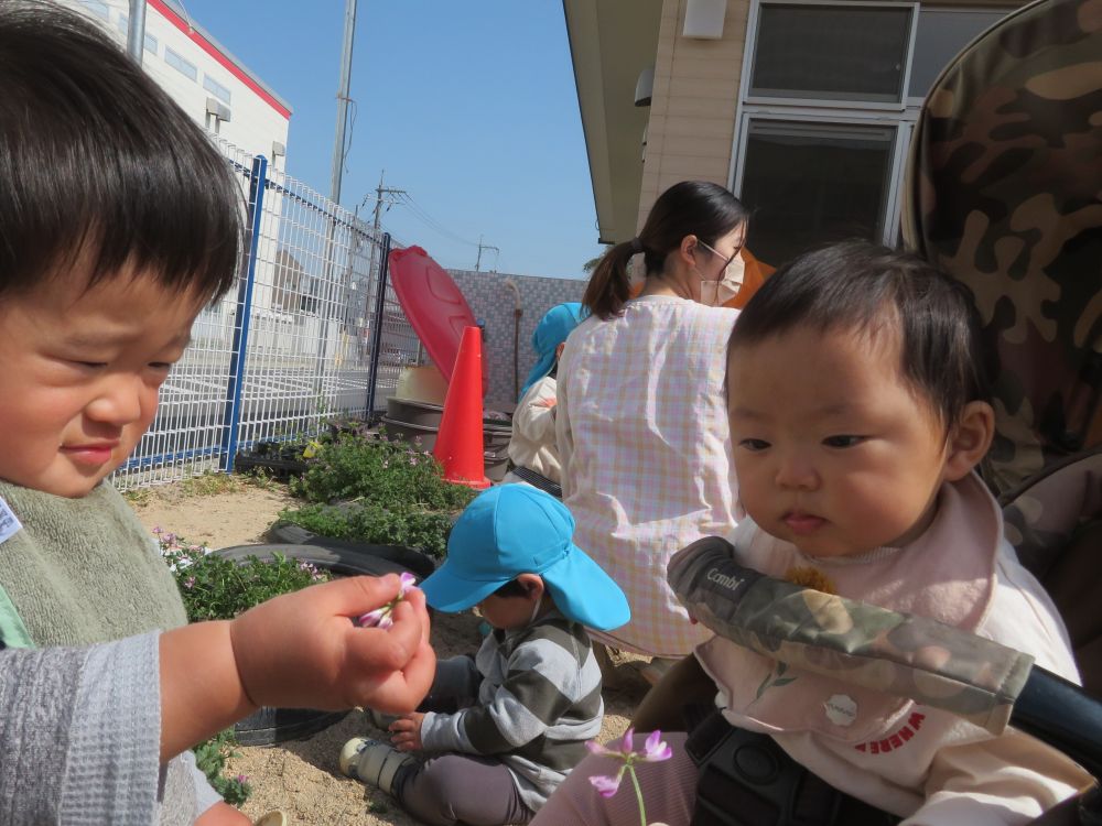 お花、見せてあげるね🌼