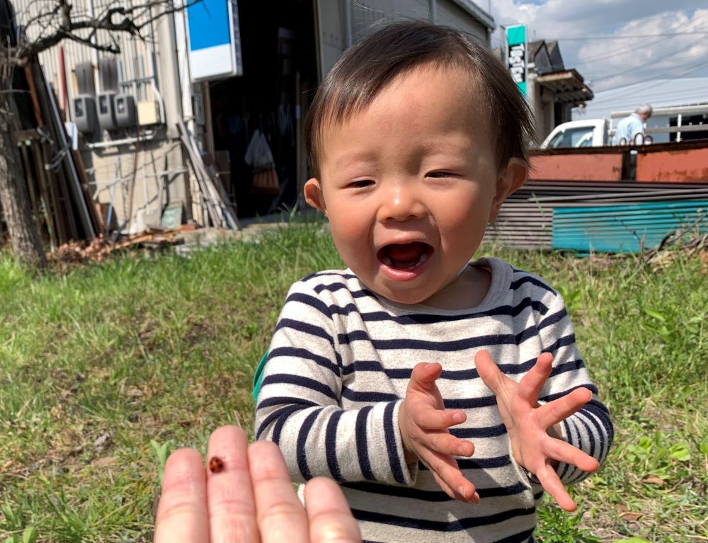 👩「テントウムシがいたよ！」
　👦「うわぁ～✨」