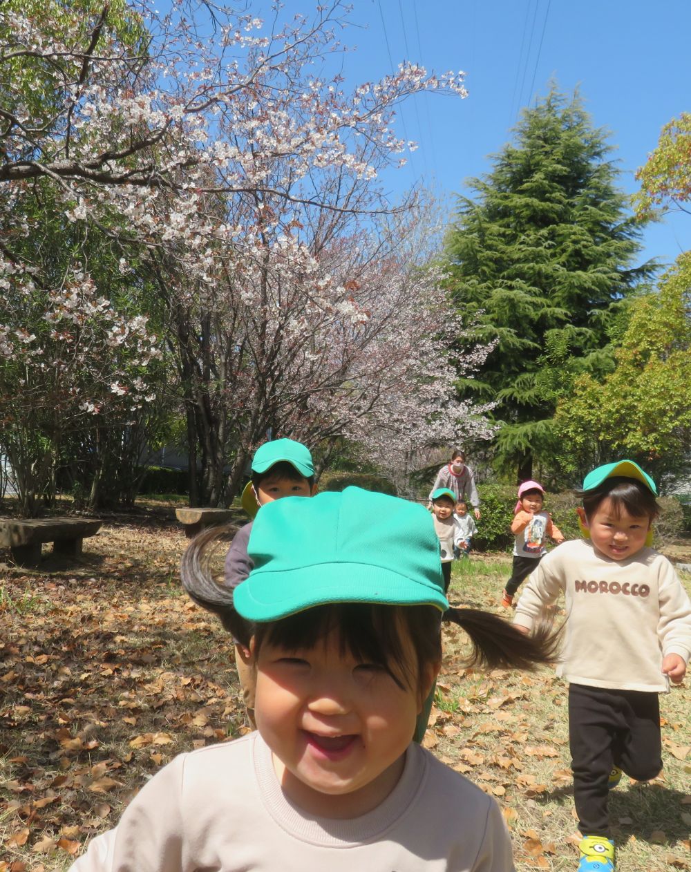 桜の木の下でかけっこ🏃💨