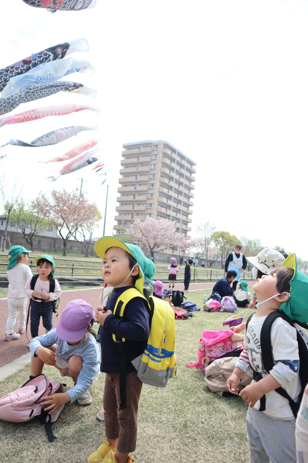 「おさかなー！！」

上を見上げると・・・　大きなこいのぼり

Zくんの視線の先にもこいのぼりが泳いでいます
たくさん泳いでいました