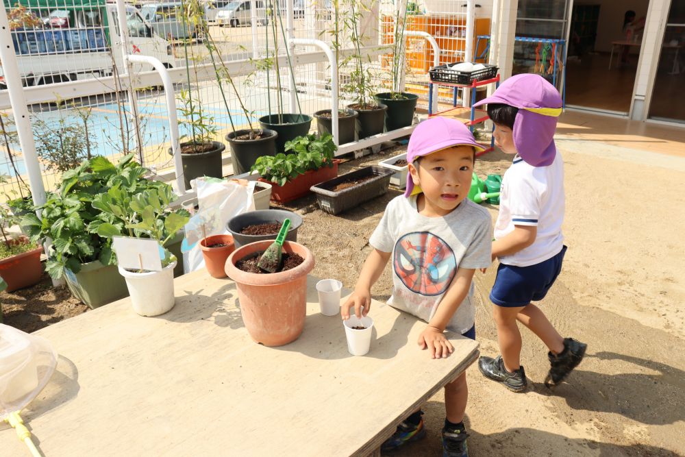 夏に向けて、アサガオとホウセンカの種を植えました
色水や押し花、アサガオのツルを使ってリース作り等々
遊び方は無限の自然物！

「ねぇねぇ、次のミッションは？」　やる気の2人
