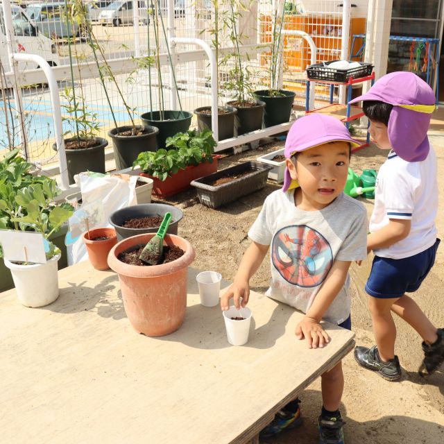 ＊　5歳児　夏に向けて・・・＊