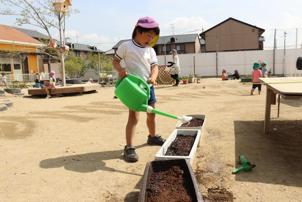 水やりをしながら
Ｒ君「早く芽を出せ♪出さなきゃ切っちゃうぞ♪」


サルカニ話でしょうか？
歌いながら水やりをしている様子がとてもカワイイです☆