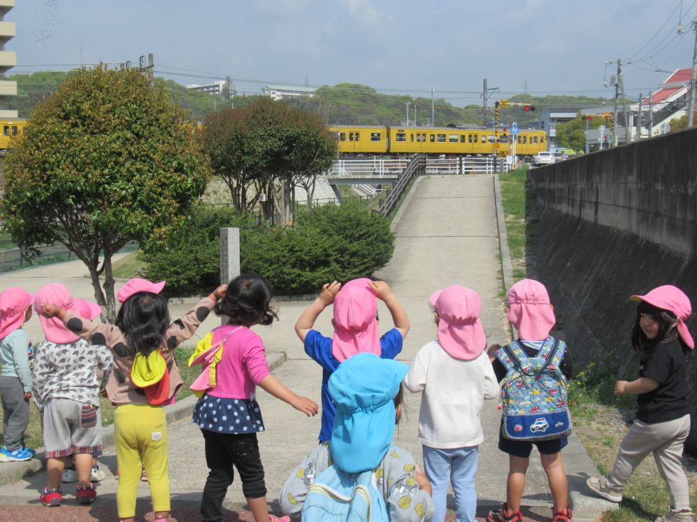 「アッ！なんか音がする！」
「絶対来るよ！！」
みんな思わず立ち上がる・・・
帽子のツバまで持ち上げてじっくり見る・・・
「キターーーーーー！！きいろーだー！！」
