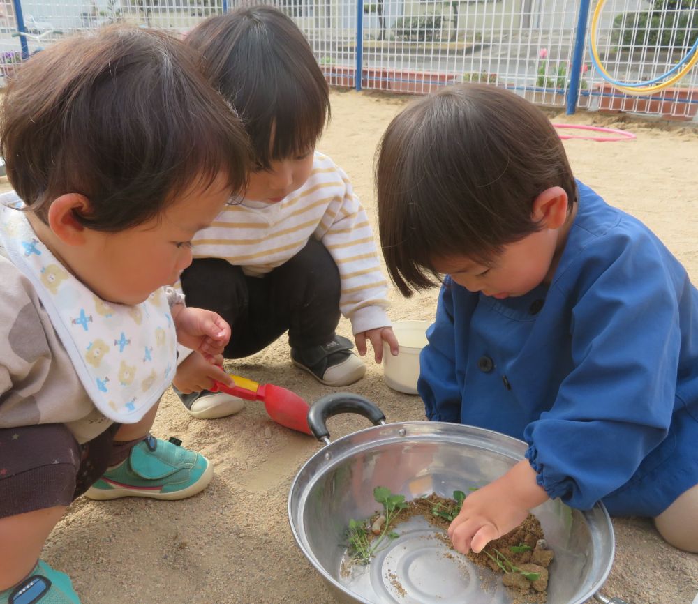 土の中から何か出てきた！
　　・・・幼虫✨