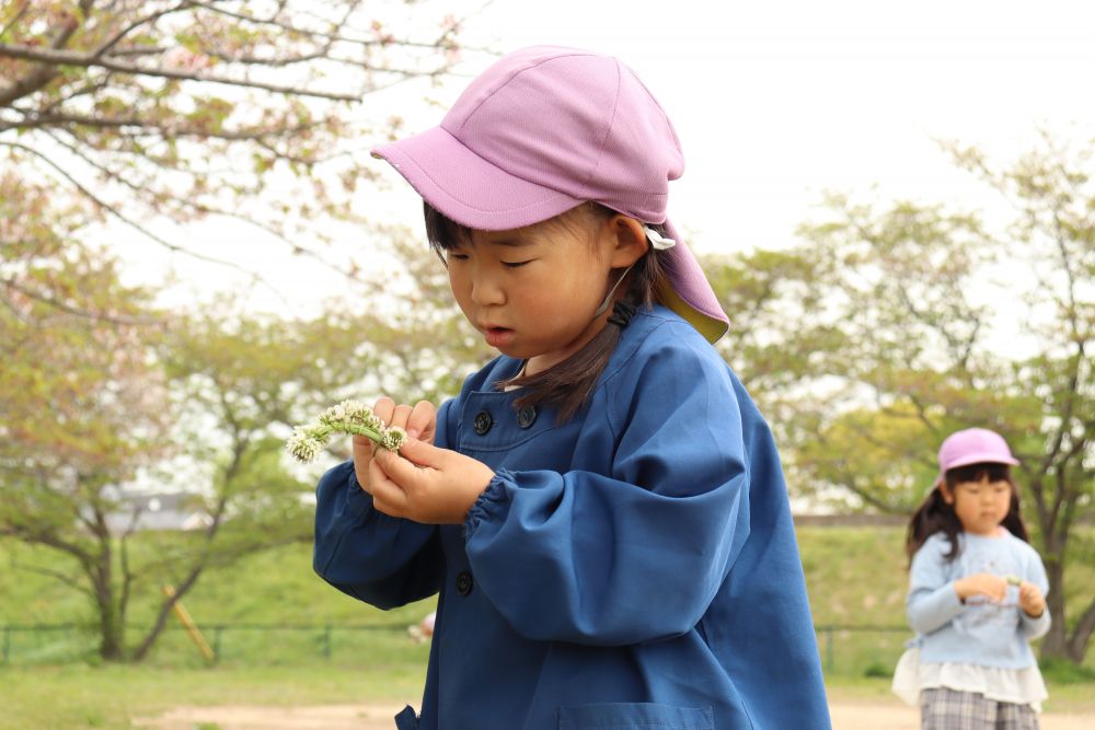 いつもカメラを向けると最高の笑顔を見せてくれるＲちゃん
この時は真剣です

これも一つ自然に心を動かされているのかな？