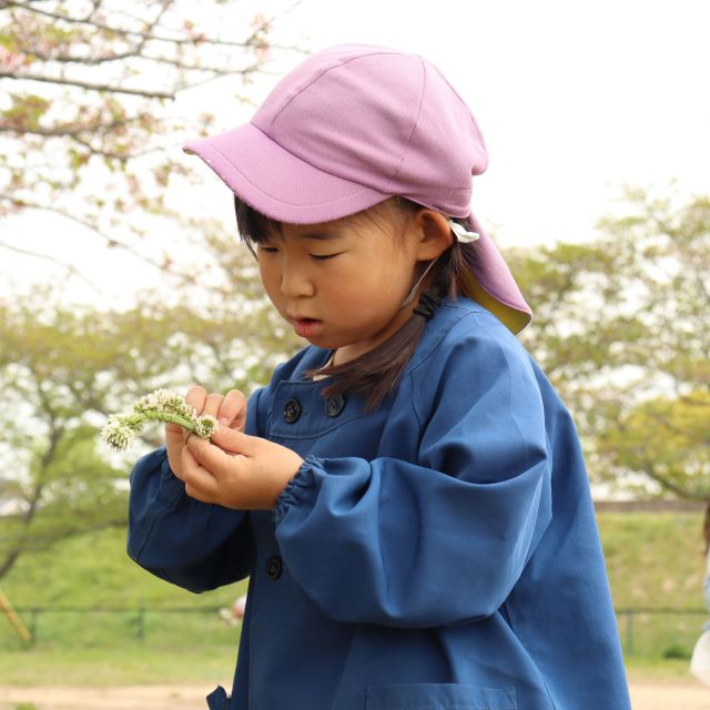 ＊　5歳児　シロツメクサで冠を作りたい！　＊