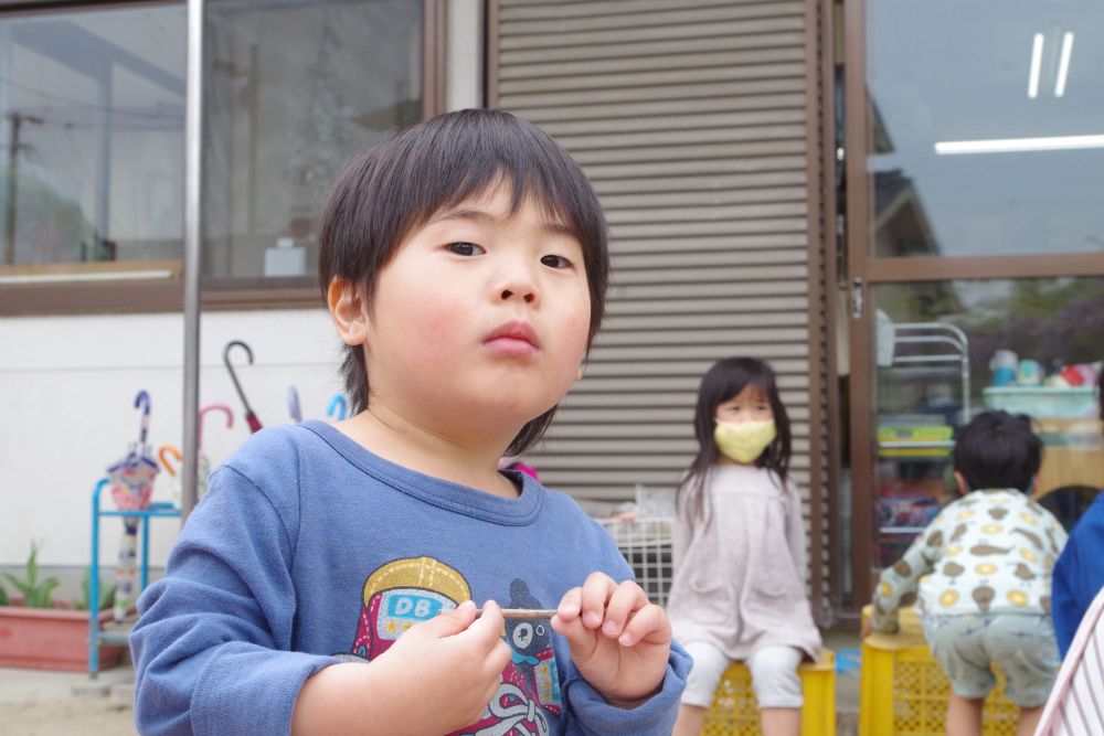 ・・・おや！？
あれは、なんだ！！？

まんまるの目で見ていた先には・・・！！？