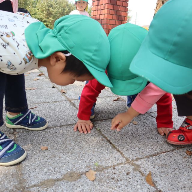 ＊　2歳児　東尾道公園へ　＊