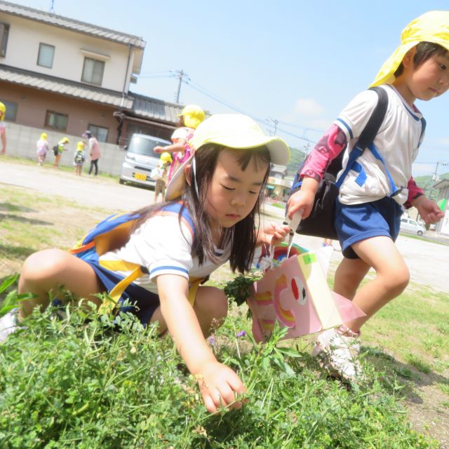 お散歩　＊4歳児＊