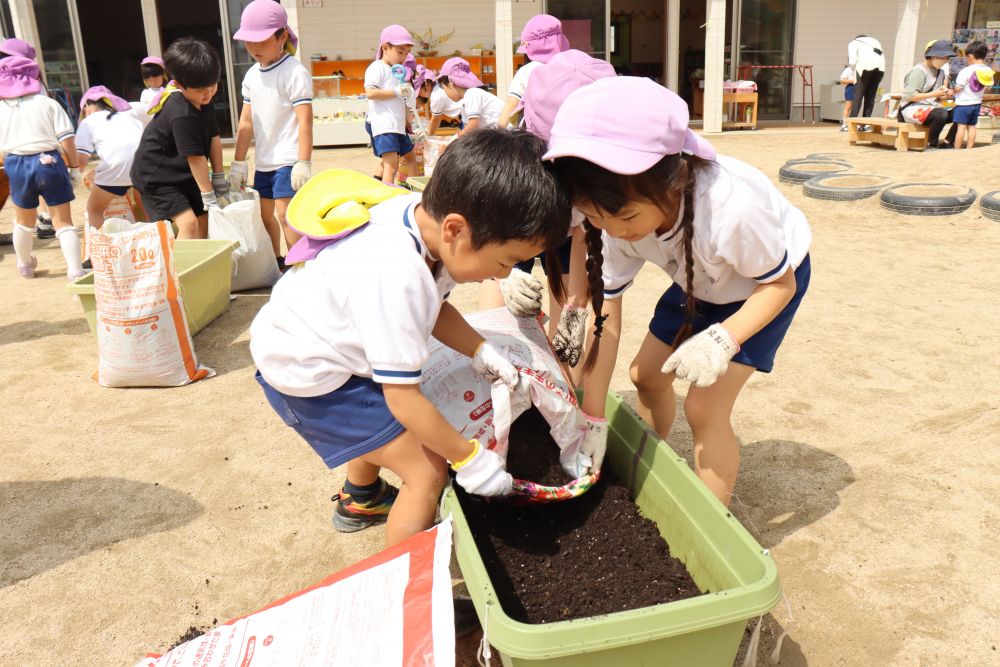 こっちのプランターはR君大活躍で
一気に土の移しかえに成功☆
何気ない場面ですが、友達と協力
こんな経験を大切にしていきたいですね