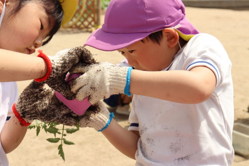 それでは植え付けをしていきたいのですが
Ｓ君とＩちゃん、苗をポットからなかなか出せず苦戦中
声を掛けたいところですが、見守り・・・

しかし、良い表情です