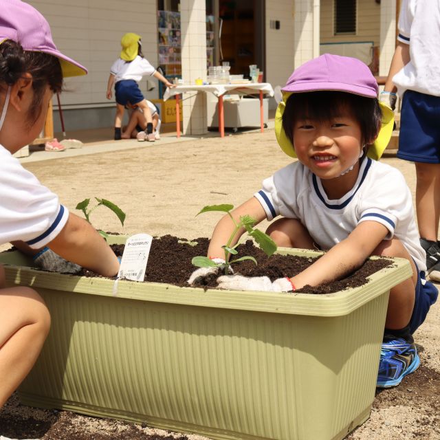 ＊　5歳児　夏野菜を植えよう！　③　＊