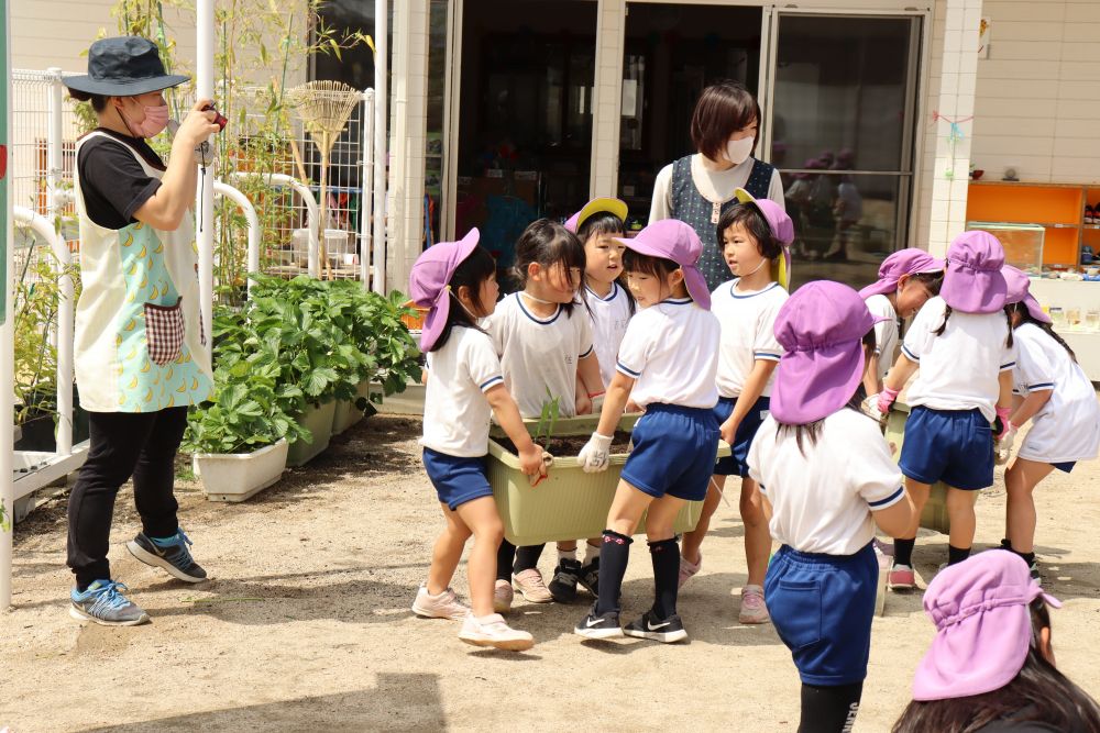 植え付けたら畑の横にプランターを移動

ここでも、保育者は怪我をしないようにそばで見守り

何も言わなくても「せーのっ！」と誰かが声を出して運びます
きっと、普段の生活で身近な大人の様子を見て学んでいるんでしょうね