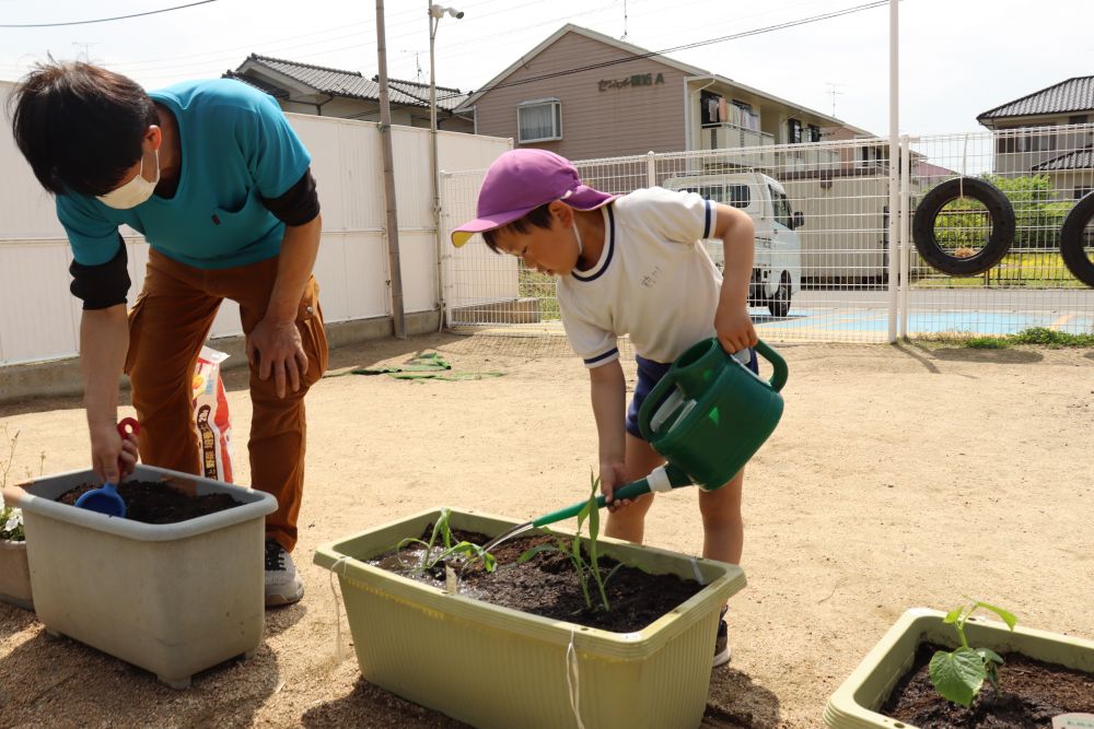 ジョウロに水を汲むため水道まで行ったり来たり
何度も往復をして最後までやりきるＳ君
「ありがとう」

これからコツコツと世話をしながら
生長に興味を持ってほしいと思います

たくさん実りますように☆