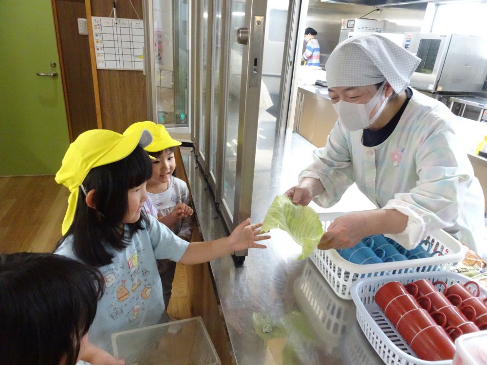 園庭であおむしを発見したゾウ組さん
「何食べるんかな？」
「葉っぱかね？」
「キャベツじゃない！？」
友達同士で考えて
キャベツをもらいに給食室へ
レッツゴー！！

「給食先生～！！キャベツください～！！」