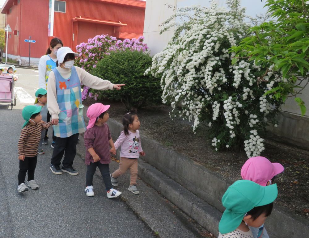 すいみい保育園は・・・
ベイタウンの企業さんとの交流が欠かせません✨

年度初めのご挨拶にうかがいました。
途中のキレイな花も見逃しません🌼

