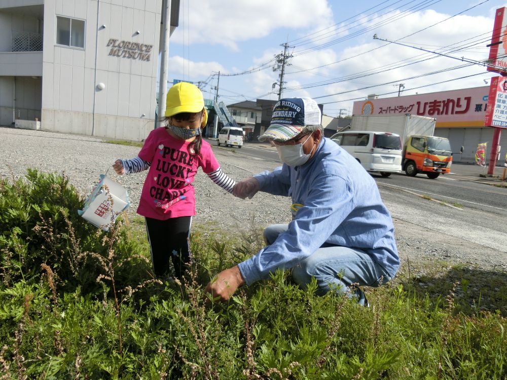 初めての保育参加♪
こいのぼりのお散歩バックを持って、
いつものお散歩コースの草むらへ！
今日はお家の人と一緒に♡

カラスノエンドウを発見！！
親子で楽しそうに豆笛を楽しんでいました♡