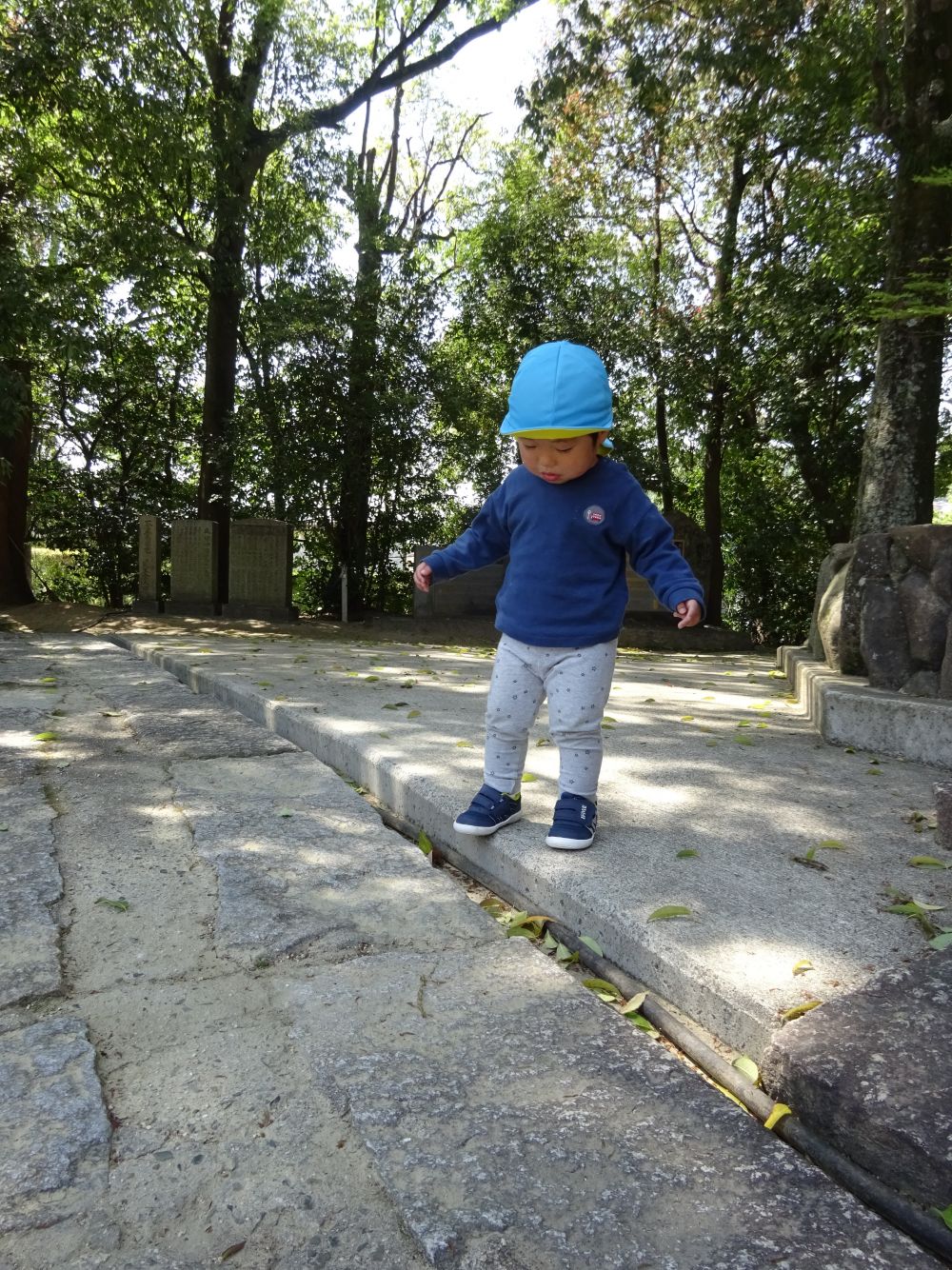 ふと目の前に小さな段差
これが子どもにとっては大きな段差・・・


じっと立ち止まるGくん・・・
じっと見守る・・・

すると！！