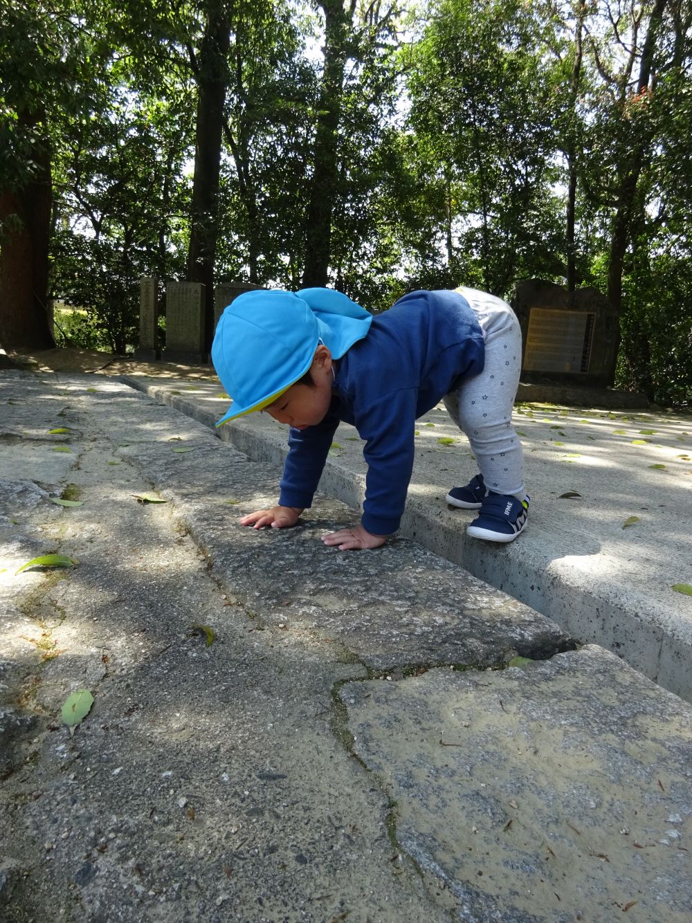 両手をついて自分の力で降りることができました！！

降りることができたGくん
どこかホッとしたような、そしてやり切った表情♡

小さな段差から大きな成長を感じました♡