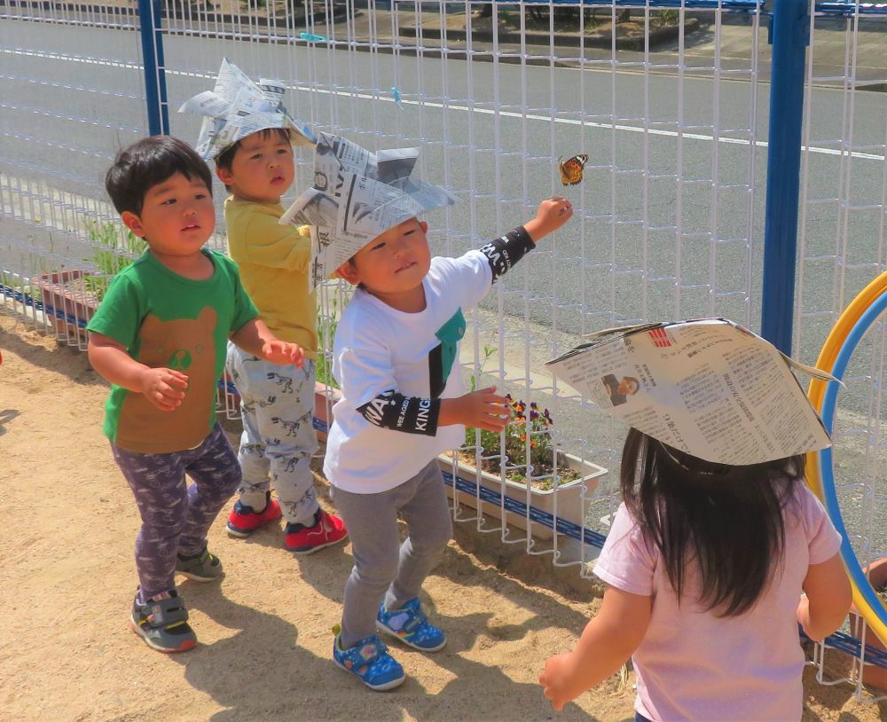 5月6日
　園庭にツマグロヒョウモンが、
　「あっ、チョウチョ！！」
　　　　おかえり😄