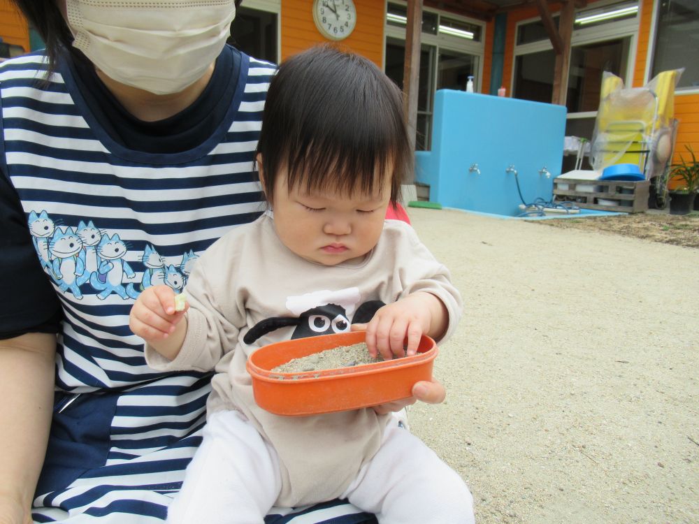 風が気持ちのいい季節
ウサギ組さんも外遊びを楽しんでいます


5月から入園したSちゃん
まだまだ慣れない環境の中だけど‥
楽しそうな友達たちの声に誘われて、園庭に遊びに出ました
砂の入った容器をそっと持っていくと、石をつまんでみたり、砂に触れてみたり、感触を楽しんでいます