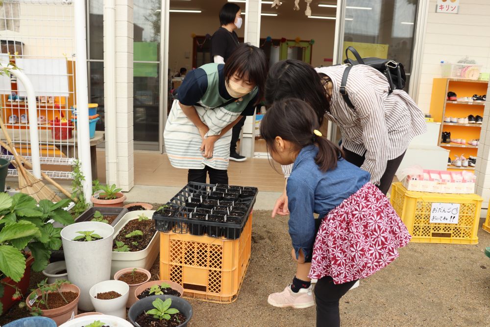 一人ひとりが植えた花の種
「去年はなかなか芽が出なかったね・・・」
と話しながら、今年は芽吹き一番乗り
自然に興味を持っています