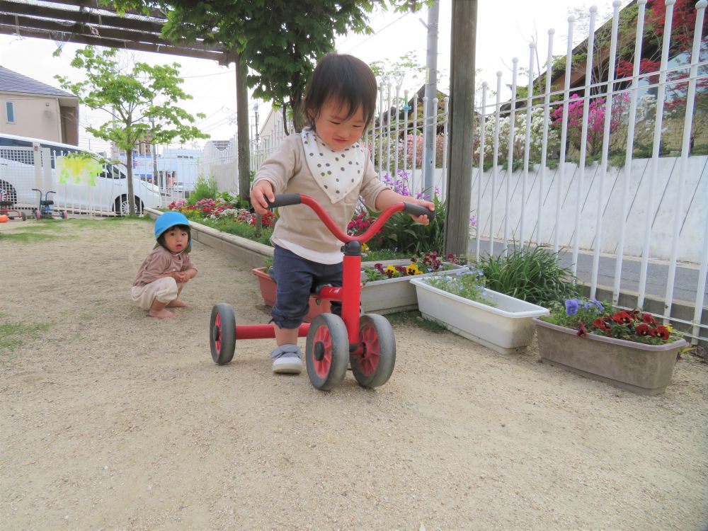 おっと登り坂発見！！

なかなか前に進まない…

少しずつ少しずつ進んでいくＲちゃん

登りきった時はニッコリ♡