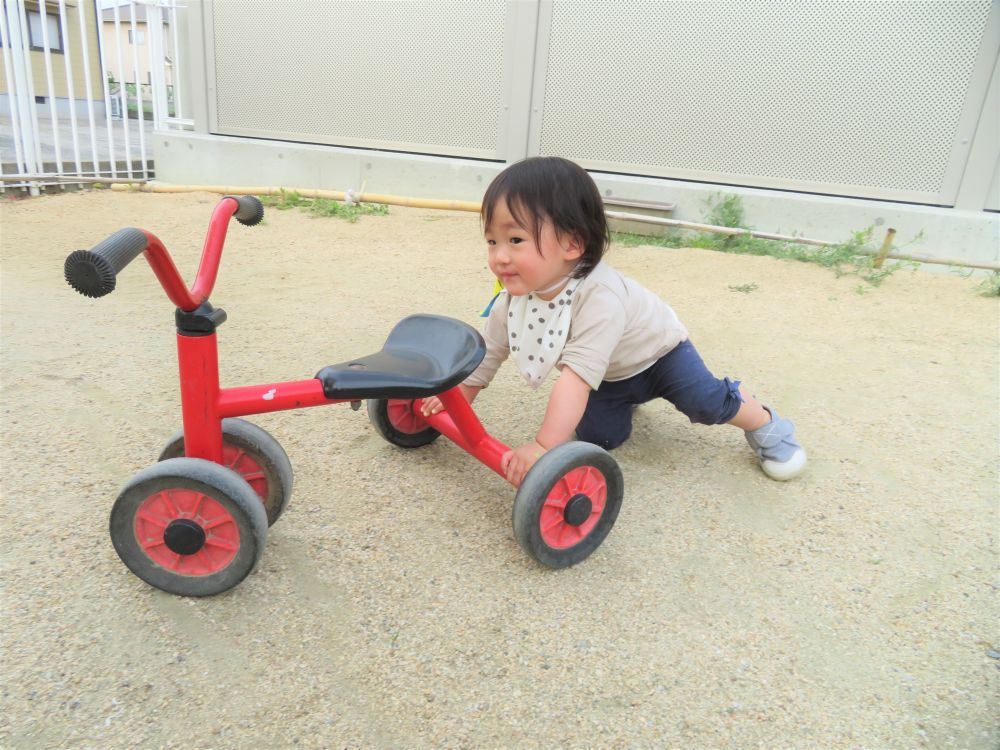 サイクリングが終わったRちゃん

休む間もなく三輪車遊びはまだまだ続く！

今度はどんな遊びを考えているのかな♡？

