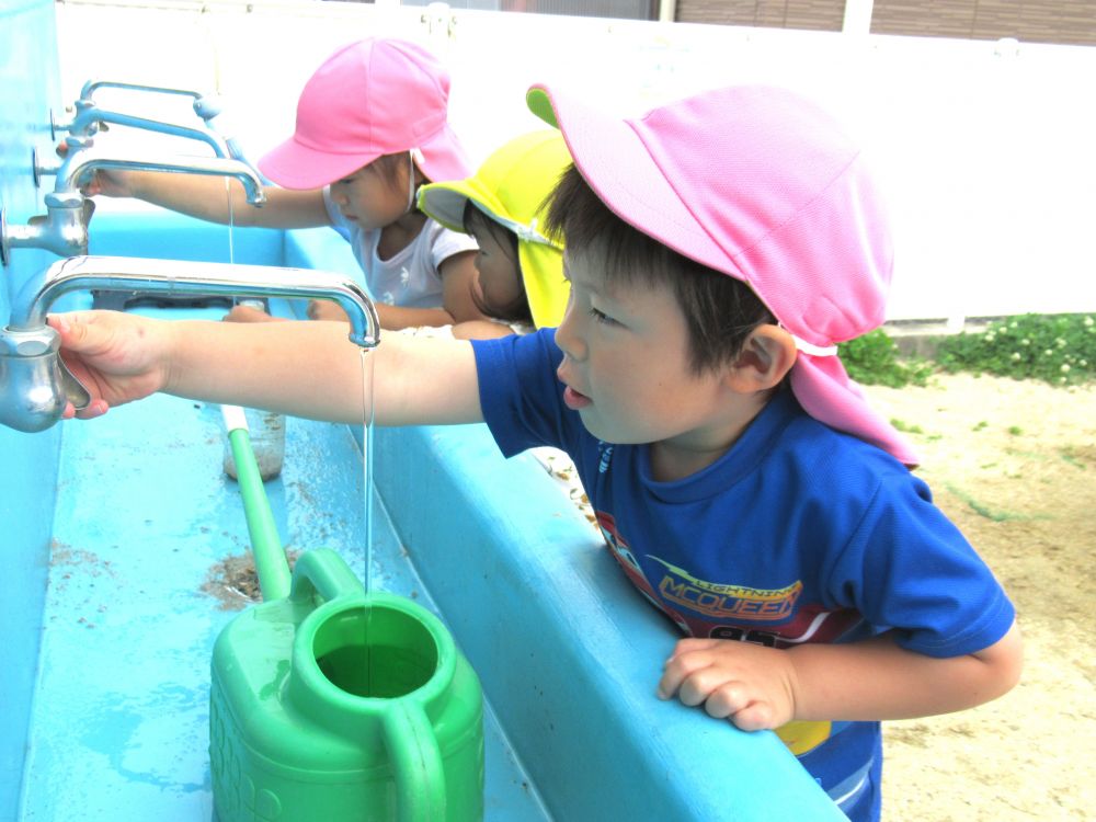 朝顔の種を園庭や自分のポットに植えたリス組さん
毎日「あの種はどうなったのか・・・」と観察をしています
水やりも自分たちでやります

「水がご飯なんだよね～」とKくん
水道でたっぷりの水をくみます