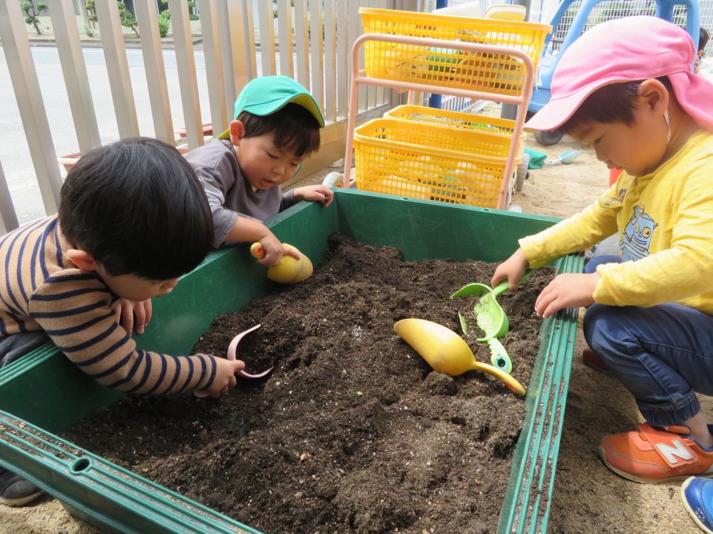 緑化推進事業で、今年もたくさんの花苗を頂きました。

まずは土の準備から・・・