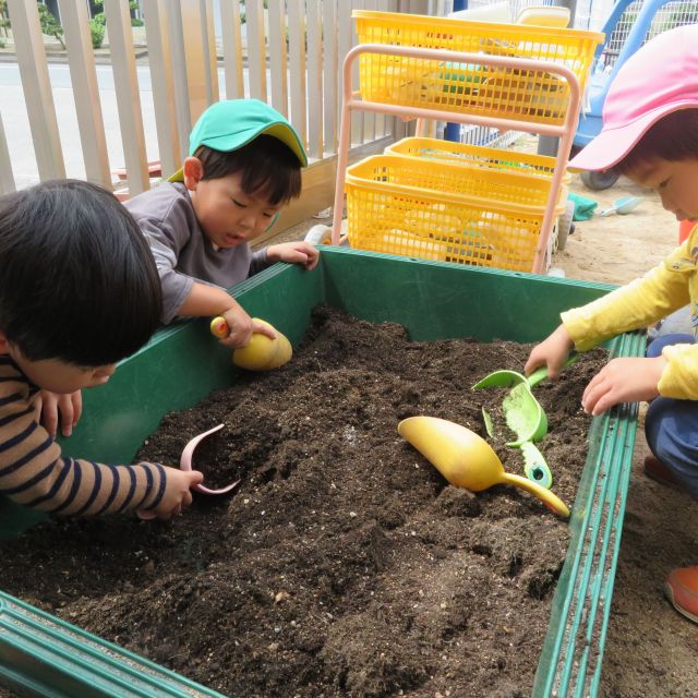 花を植えたよ🌺　　～リス・クマ組～