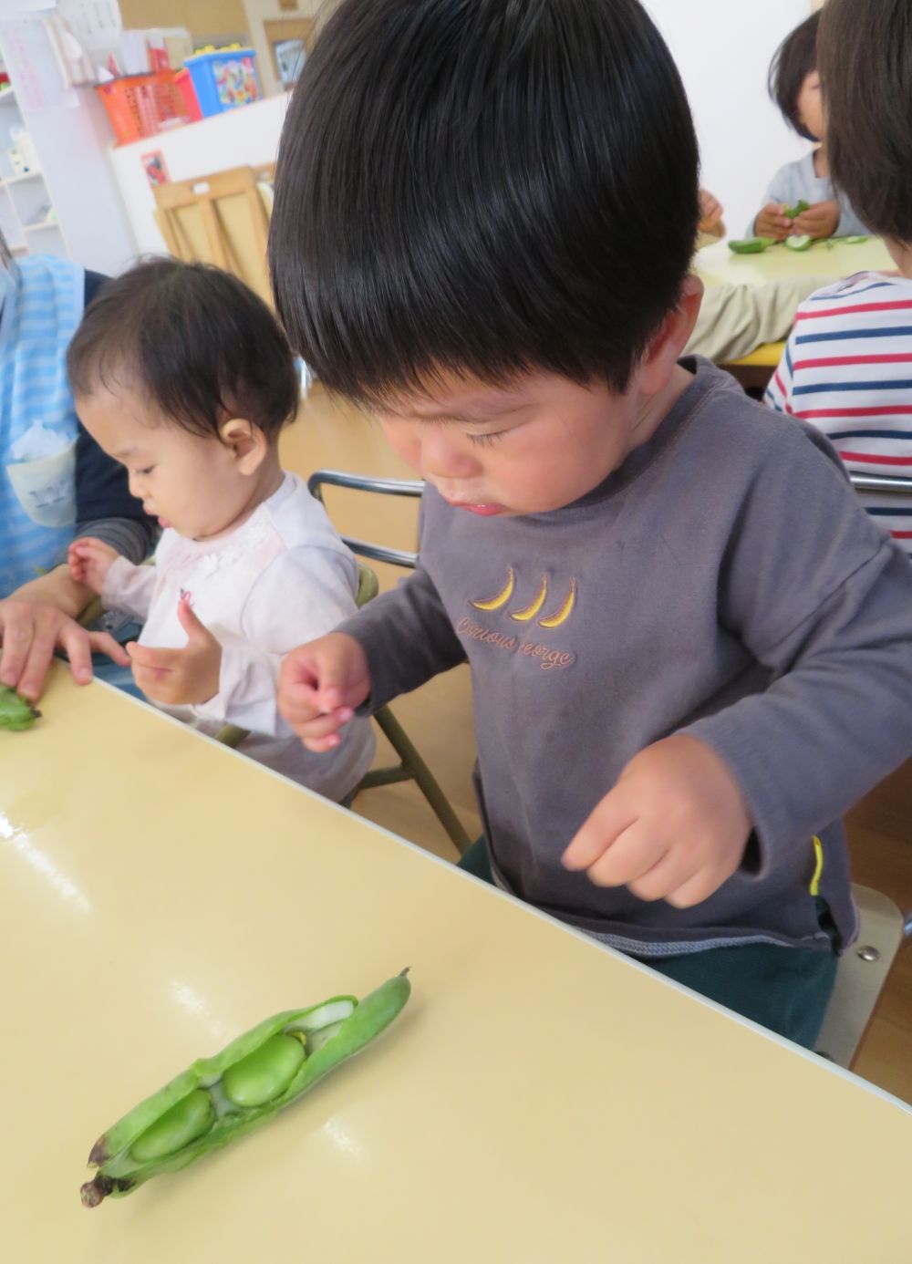 本物のそらまめを見て
　　　ビクッ😲
大きな豆が出てきてビックリしたのかな？！