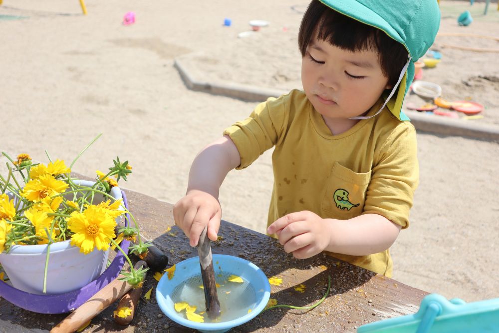 とってもきれいな黄色いお花✿

Rくんは、花びらをすり鉢に入れてごりごりごり・・・

これがなかなか難しいみたい
でも諦めずに黄色い色が出てくるまでひたすたらごりごり・・・