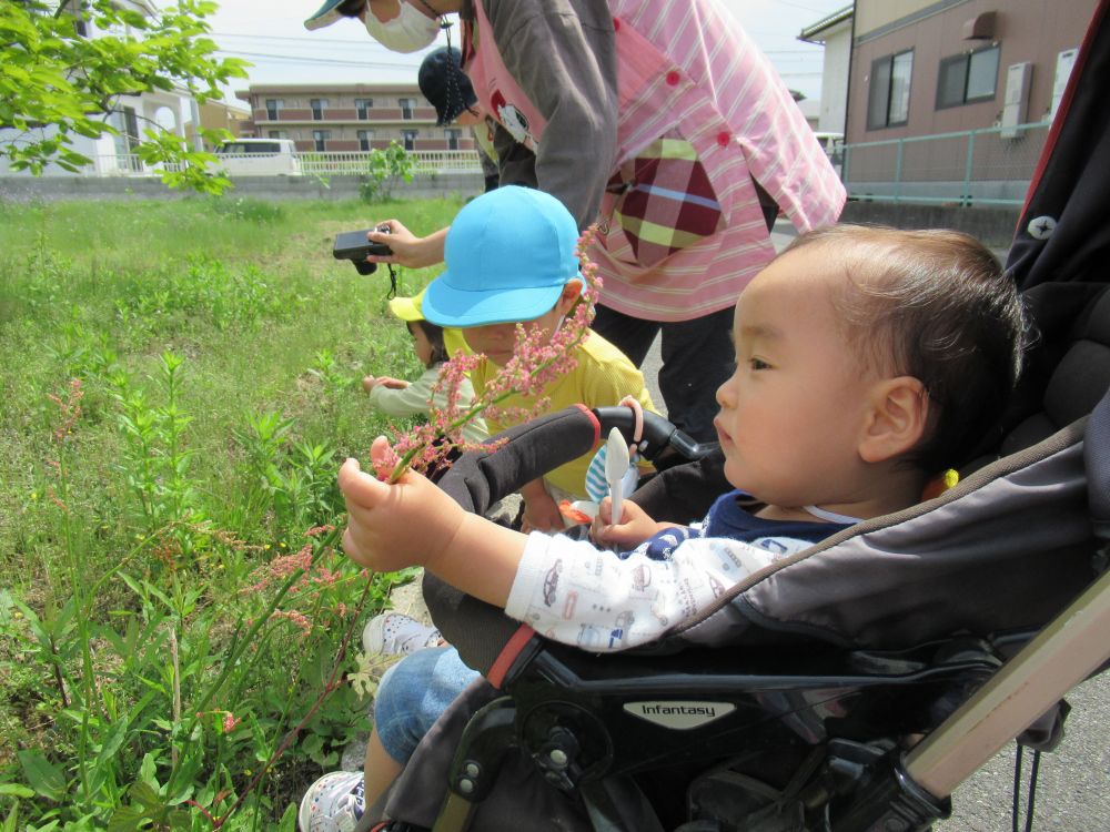 足をルンルンしながら出発したYくん
植物を見つけると「あっ！あっ！」と教えてくれました
近づくとさっそく手を伸ばして触っています
時々ベビーカーから下りて、木の実や草花をたくさんもって帰りました

