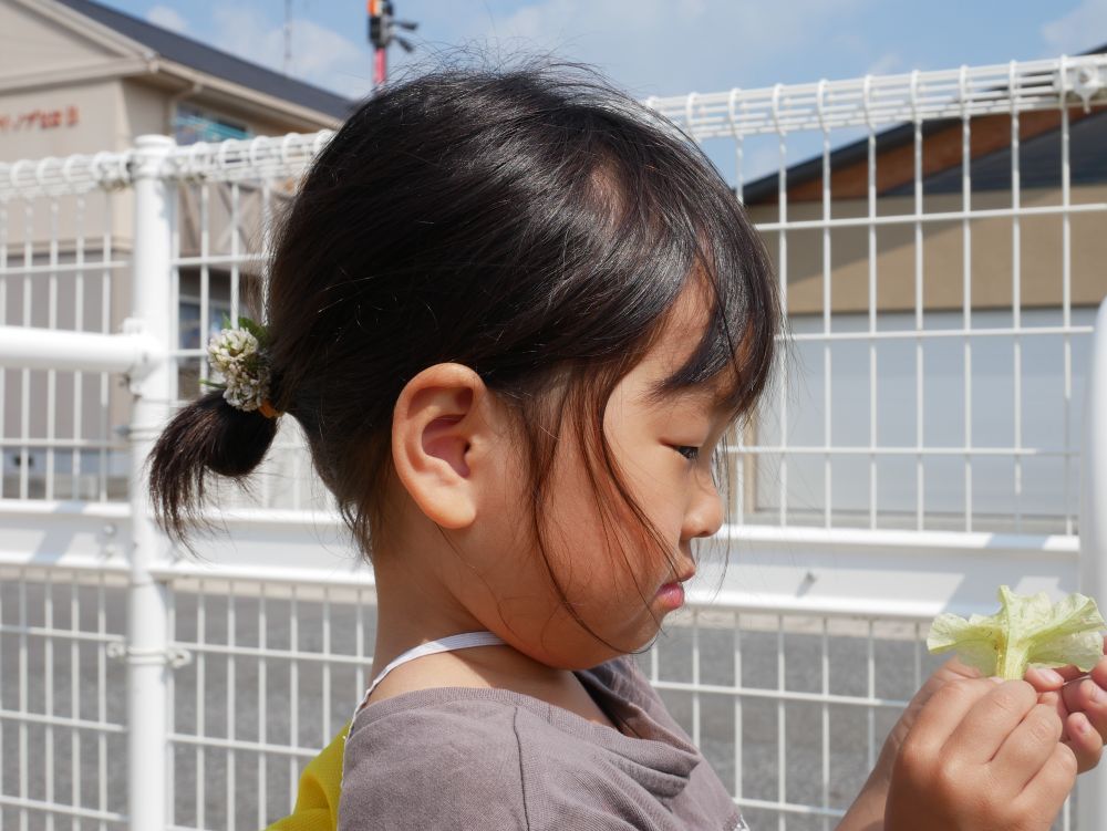 花を見て思わず『かわい～♡』とⅯちゃん
花って可愛いな・・と感じる
その感性が素敵ですね

『Ⅿちゃん髪につけてみたの』と嬉しそうに見せてくれました