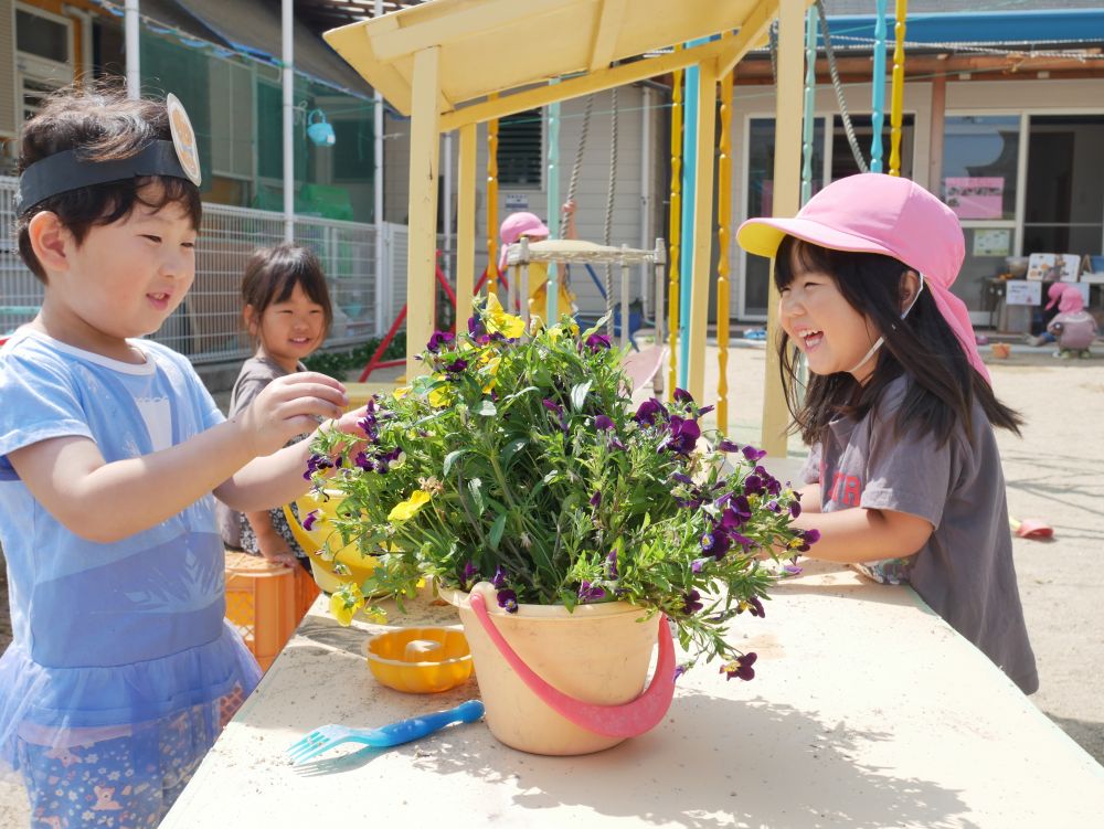 Iちゃんはまたお家からビオラの花を持ってきてくれました
『みんな使っていいよ～！ここに置いておくからね』と友達に声を掛けるIちゃん
